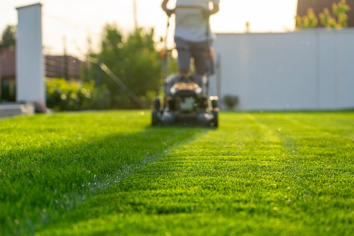 Professional lawn mowing service keeping residential yard neat and tidy