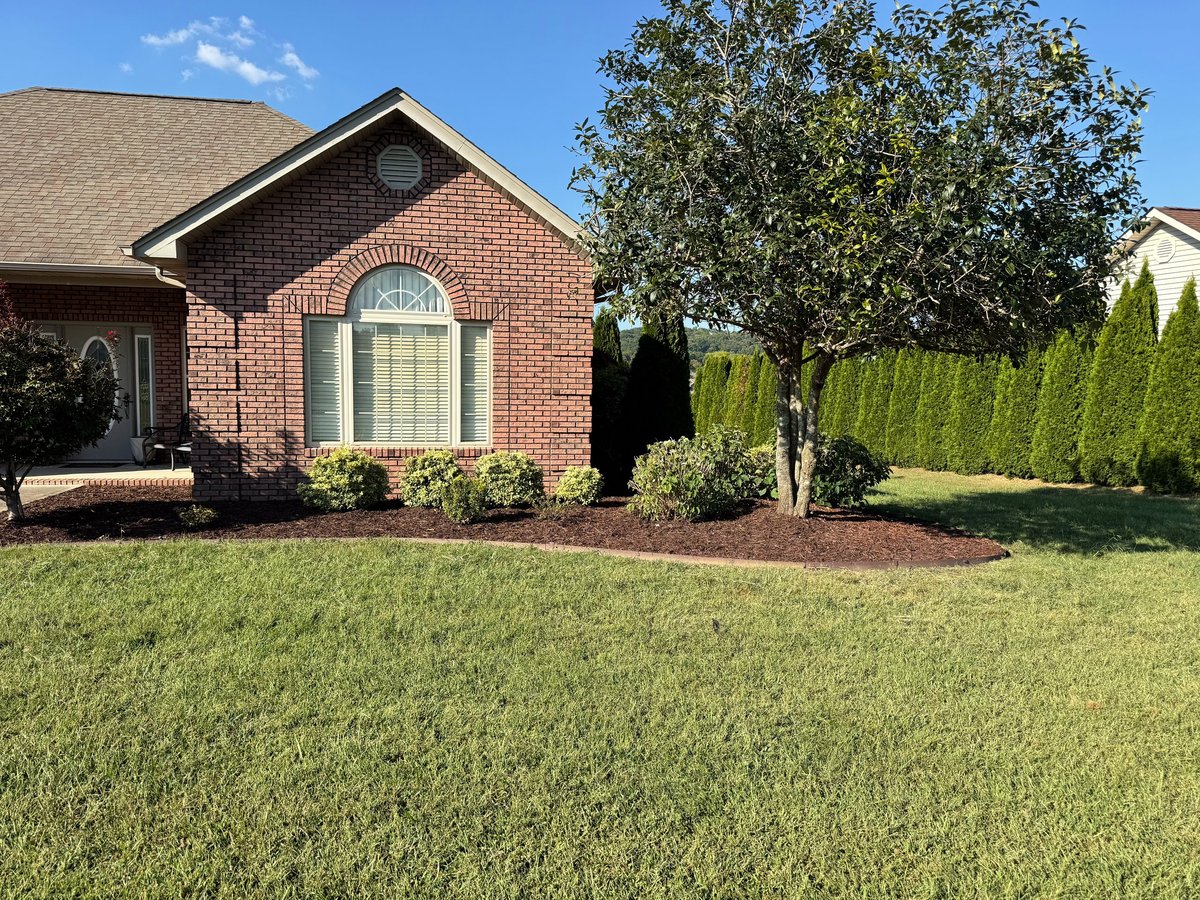Brick home with manicured lawn, fresh mulch, hedges, and tree on a sunny day — Brock Property Services landscaping example