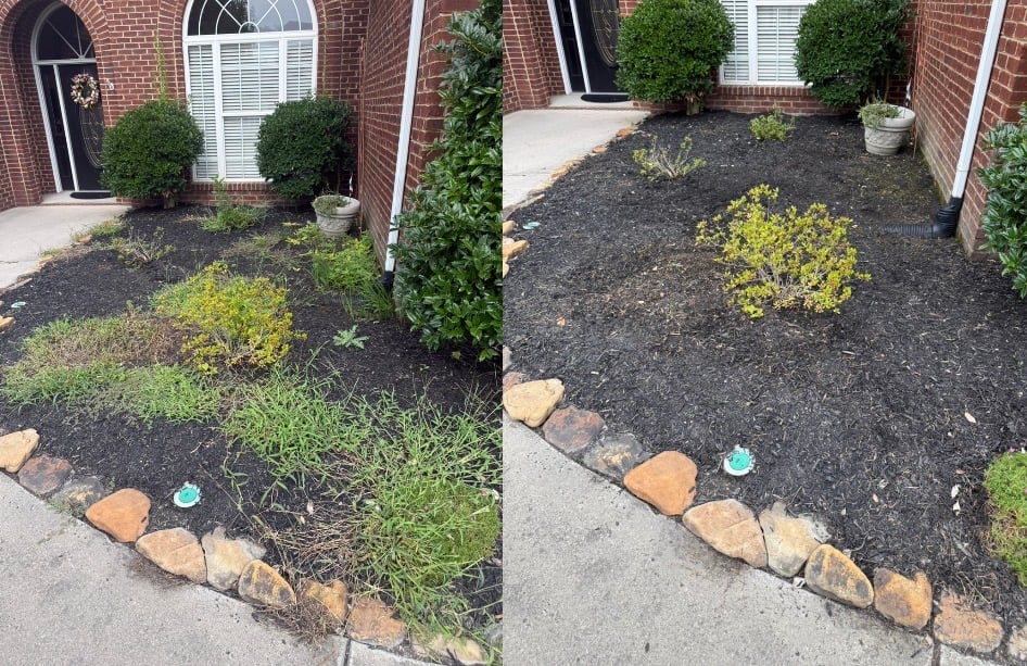 Before and after — brick home front bed cleaned, mulched, and bordered with shrubs and stone edging