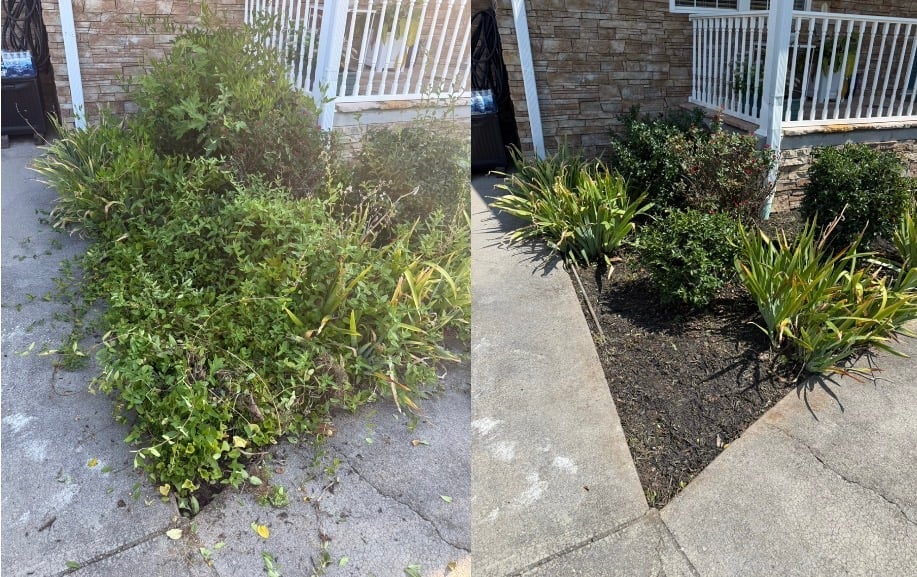 Before and after — overgrown plants cleared and mulched beside white railings