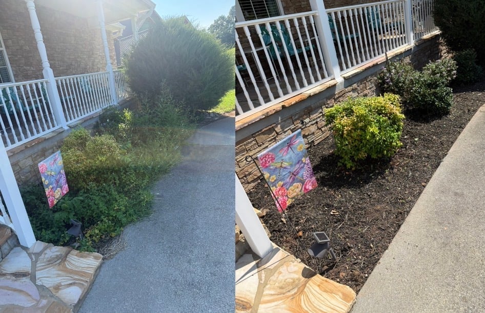 Before and after — mulched garden beds with shrubs beside a deck with white railings