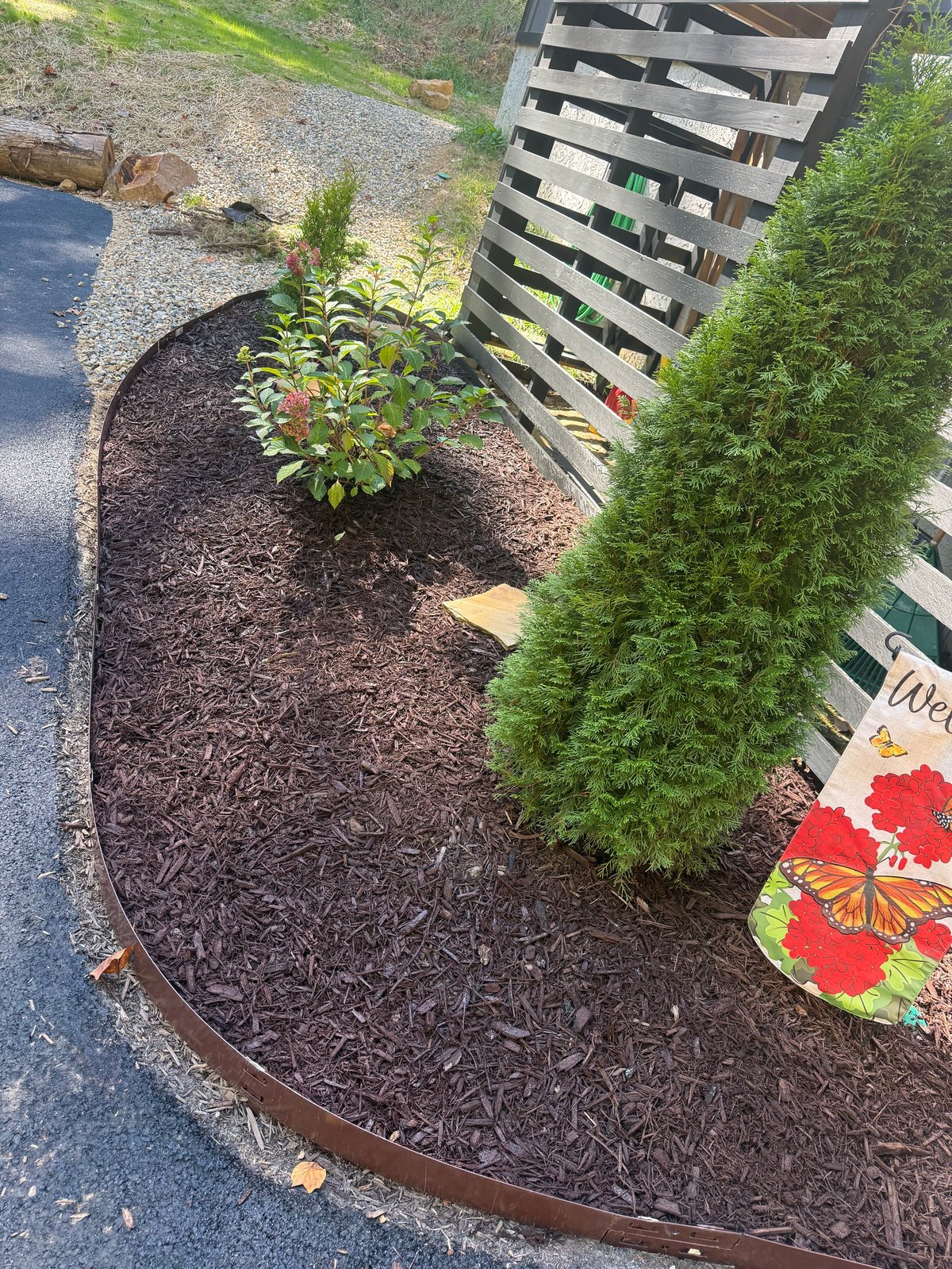Freshly mulched garden bed with dark mulch, green shrubs, young plant, and metal edging