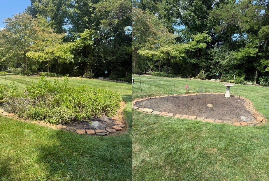 Before and after — garden bed cleared and freshly mulched with stone border edging